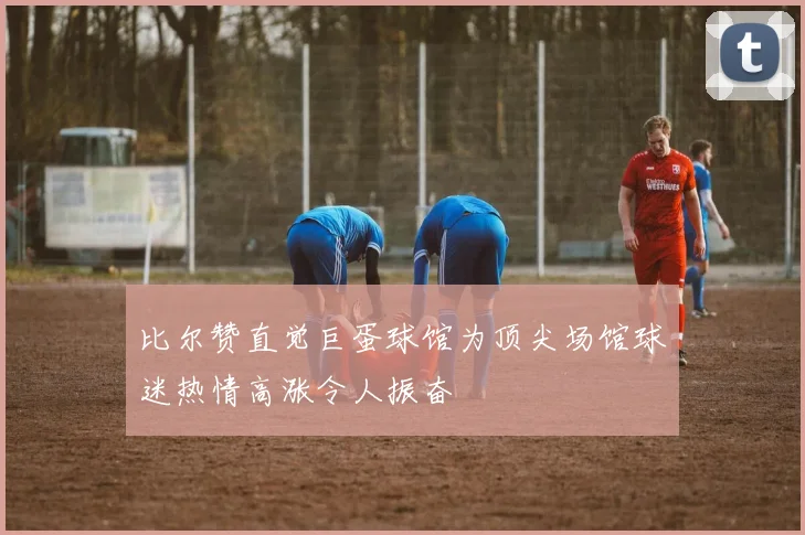 比尔赞直觉巨蛋球馆为顶尖场馆球迷热情高涨令人振奋