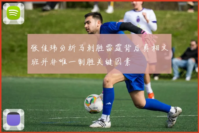 张佳玮分析马刺胜雷霆背后真相文班并非唯一制胜关键因素