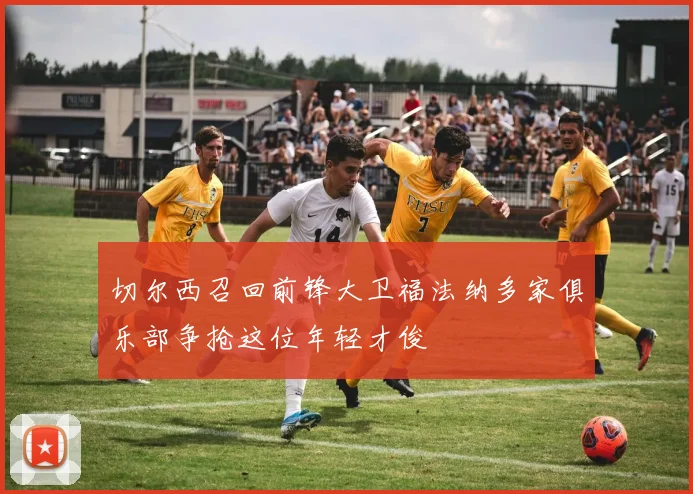 切尔西召回前锋大卫福法纳多家俱乐部争抢这位年轻才俊