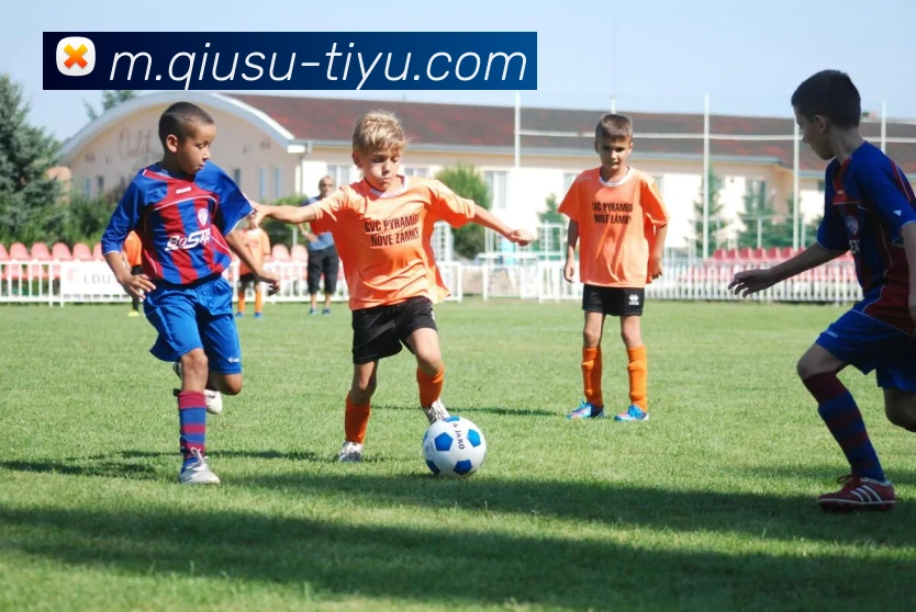 球速体育平台生态图