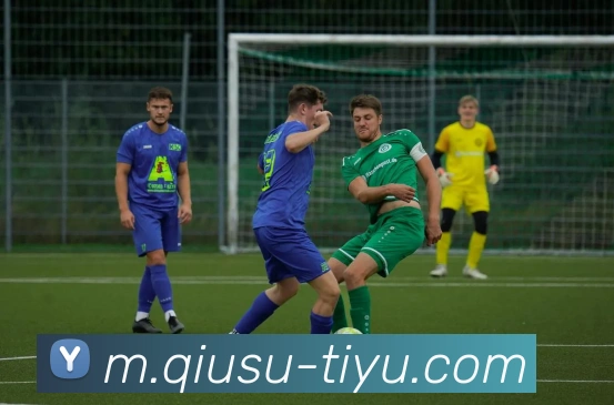 球速体育APP 封面图